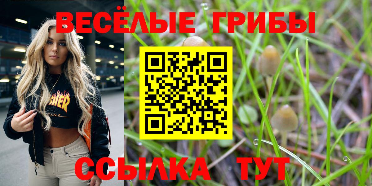 Дербент  Галлюциногенные грибы MAGIC MUSHROOMS  Вход с VPN 