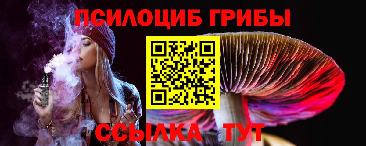 Галлюциногенные грибы GOLDEN TEACHER Дербент